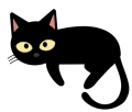 Cat - Czarny